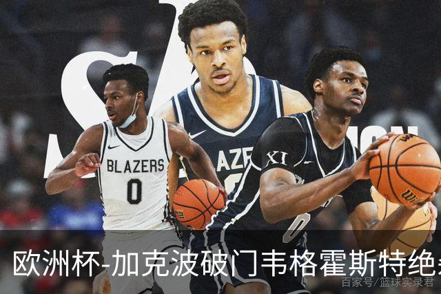 欧洲杯-加克波破门韦格霍斯特绝杀 荷兰2-1波兰