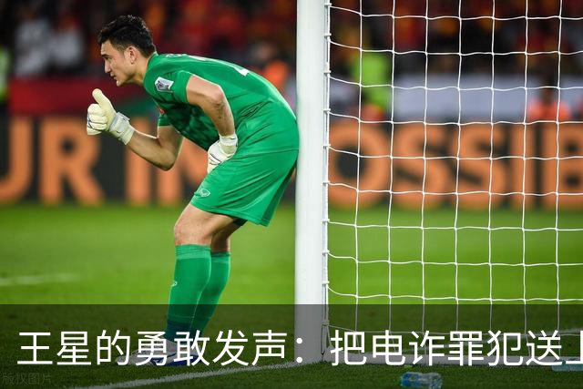 王星的勇敢发声：把电诈罪犯送上“法律快车